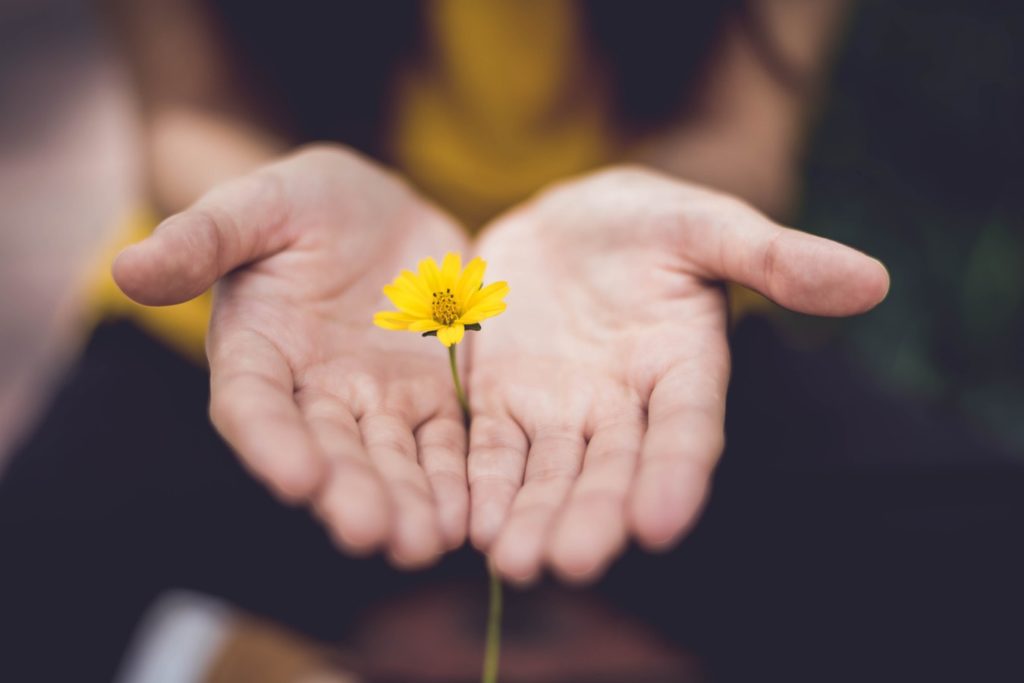 don avec main et une fleur au milieu